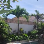 WhatsApp Image 2026-02-27 at 14.43.38 (1)